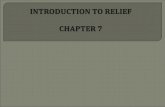 Define concept of relief  Describe and Discuss the relief locations, types, scenarios.  Discuss the relief system in specific unit operations.