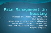 Barbara St. Marie, MA, ANP, GNP PhD Candidate University of Wisconsin – Milwaukee Nurse Practitioner – Supervisor Pain and Palliative Care – Fairview Ridges.