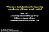 What does the future hold for improving reproductive efficiency in dairy cattle? Matt Lucy Animal Reproductive Biology Group Division of Animal Sciences.