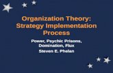 Organization Theory: Strategy Implementation Process Power, Psychic Prisons, Domination, Flux Steven E. Phelan.