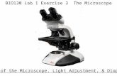 BIO130 Lab 1 Exercise 3 The Microscope Parts of the Microscope, Light Adjustment, & Diopter.