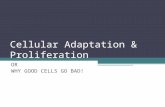 Cellular Adaptation & Proliferation OR WHY GOOD CELLS GO BAD!