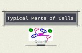 Typical Parts of Cells Quiz 4B. Three basic parts of all cells: cellular boundaries cytoplasm genetic material.