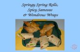 Springy Spring Rolls, Spicy Samosas & Wondrous Wraps.