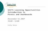 SAITS Learning Opportunities Introduction to Pivots and Dashboards December 12, 2007 10:00 – 12:00 Cathy Bates.