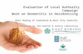 Assessment of Campaign to Reduce Dermatitis A Local Authority Partnership Project, East Riding of Yorkshire & Hull City Council Evaluation of Local Authority.