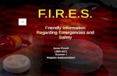 F.I.R.E.S. Friendly Information Regarding Emergencies and Safety Janna Powell LIBM 6371 Summer I Program Implementation.