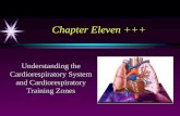 Chapter Eleven +++ Understanding the Cardiorespiratory System and Cardiorespiratory Training Zones.
