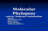 Molecular Phylogeny course: Sequence Information Students: Razick Ahmed Sabry Mehio Wissam Lydakis Apostolos Sathyanara Tejashwari.