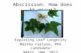 Abscission: How does it occur? Exploring Leaf Longevity Martha Carlson, PhD candidate NRESS, UNH, 2012.