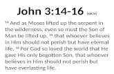 John 3:14-16 (NKJV) 14 And as Moses lifted up the serpent in the wilderness, even so must the Son of Man be lifted up, 15 that whoever believes in Him.