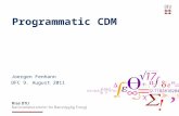 Programmatic CDM Joergen Fenhann DFC 9. August 2011.