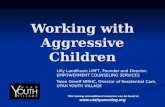 Working with Aggressive Children Lilly Landikusic LMFT, Founder and Director, EMPOWERMENT COUNSELING SERVICES Talon Greeff MMHC, Director of Residential.