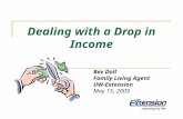 Dealing with a Drop in Income Bev Doll Family Living Agent UW-Extension May 15, 2009.