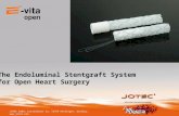 JOTEC GmbH, Lotzenäcker 23, 72379 Hechingen, Germany,  The Endoluminal Stentgraft System for Open Heart Surgery.