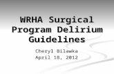 WRHA Surgical Program Delirium Guidelines Cheryl Bilawka April 18, 2012.