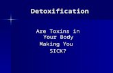 Detoxification Are Toxins in Your Body Making You SICK?