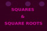 SQUARES & SQUARE ROOTS. Squares: “Squaring” a number means to raise a number to the second power. Example: 4² = 4 · 4 = 16 9² = 9 · 9 = 81 16² = 16 ·