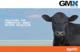 SOLUTIONS FOR COMMERCIAL ANGUS HEIFER SELECTION.