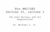 Bio 402/502 Section II, Lecture 1 The Cell Nucleus and Its Organization Dr. Michael C. Yu.