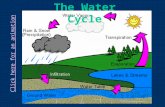 The Water Cycle Click here for an animation Increase in runoff with urbanization Decrease in infiltration.