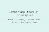 Gardening from 1 st. Principles Roots, Stems, Leaves and Plant Reproduction.