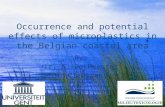 Occurrence and potential effects of microplastics in the Belgian coastal area By: ir. S. De Meester M. Claessens.