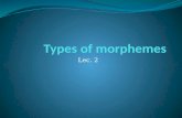 Lec. 2. Morphology & Morphemes Our morphological knowledge has two components: knowledge of the individual morphemes, and knowledge of the rules that.