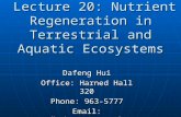 BIOL 4120: Principles of Ecology Lecture 20: Nutrient Regeneration in Terrestrial and Aquatic Ecosystems Dafeng Hui Office: Harned Hall 320 Phone: 963-5777.