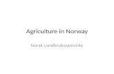 Agriculture in Norway Norsk Landbrukssamvirke. Norway 4.8 million inhabitants Part of Europe, but not member of the EU Agreement with the EU (EEA) – full.