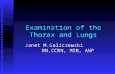 Examination of the Thorax and Lungs Janet M.Galiczewski RN,CCRN, MSN, ANP.