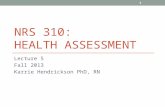 NRS 310: HEALTH ASSESSMENT Lecture 5 Fall 2013 Karrie Hendrickson PhD, RN 1.