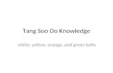 Tang Soo Do Knowledge white, yellow, orange, and green belts.