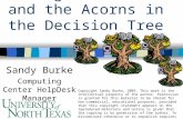 Seeing the Forest and the Acorns in the Decision Tree Sandy Burke Computing Center HelpDesk Manager Copyright Sandy Burke, 2003. This work is the intellectual.