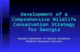 Development of a Comprehensive Wildlife Conservation Strategy for Georgia Georgia Department of Natural Resources Wildlife Resources Division.