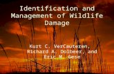 Identification and Management of Wildlife Damage Kurt C. VerCauteren, Richard A. Dolbeer, and Eric M. Gese.