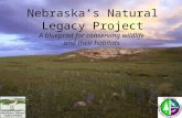 Nebraska’s Natural Legacy Project A blueprint for conserving wildlife and their habitats.