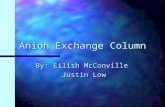 Anion Exchange Column By: Eilish McConville Justin Low.