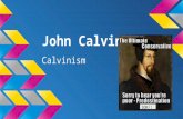 John Calvin Calvinism SON!!. Born: July 10, 1509 Died: May 27, 1564 -Had a fairly easy childhood, father had a prosperous career which led to education.