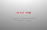 The Fur Trade The sixteenth century to late nineteenth century.