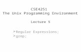 Lecture 5  Regular Expressions;  grep; CSE4251 The Unix Programming Environment.