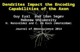 Dendrites Impact the Encoding Capabilities of the Axon Guy Eyal and Idan Segev Hebrew University H. Mansvelder and C. De Kock (Amsterdam) Journal of Neuroscience.