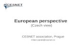 European perspective (Czech view) CESNET association, Prague milan.sarek@cesnet.cz.