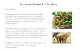 Perception Chapter 7: Color Vision Color Vision: The reason why humans perceive different colors in the environment is because of the manner in which the.