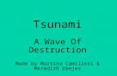 Tsunami A Wave Of Destruction Made by Martina Camilleri & Meredith Ebejer.