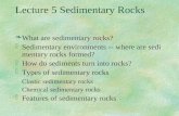 Lecture 5 Sedimentary Rocks §What are sedimentary rocks? §Sedimentary environments -- where are sedimentary rocks formed? §How do sediments turn into rocks?