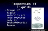 Properties of Liquids Groups of liquid molecules are held together only by intermolecular forces. [.