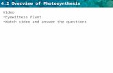 4.2 Overview of Photosynthesis Video Eyewitness Plant Watch video and answer the questions.