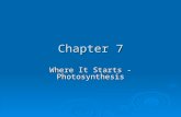 Chapter 7 Where It Starts - Photosynthesis. Photosynthesis - Intro  Photosynthesis – makes food (sugar and other compounds) by  using sunlight as an.