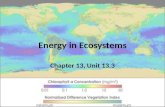 Energy in Ecosystems Chapter 13, Unit 13.3. Objectives To describe the roles of producers and consumers in ecosystems. To apply the concept of producers.